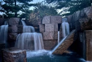 Washington DC: Private Moonlight Van Tour
