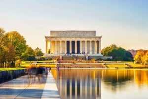 Washington, DC: Private National Mall Walking Tour