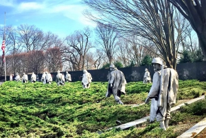 Washington, DC: Private Tour mit dem Van zu Ehren unserer Helden