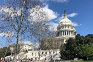 Washington DC: Tour privado con vehículo de lujo