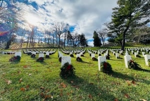 Washington DC: Tour privado con vehículo de lujo