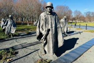 Washington DC: Tour privado con vehículo de lujo