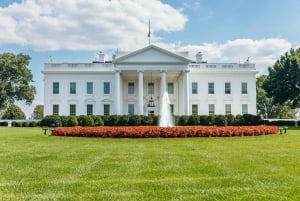 Washington DC: See the City Segway Tour