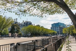 Washington DC: See the City Segway Tour