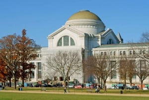 Washington DC Smithsonian Natural History Privat tur