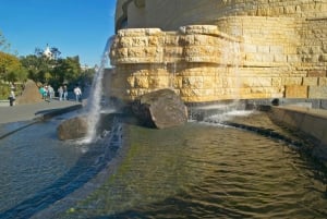 Washington DC Smithsonian Natural History Privat tur