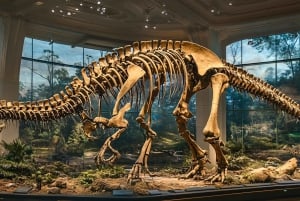 Washington DC Smithsonian Natural History Privat tur