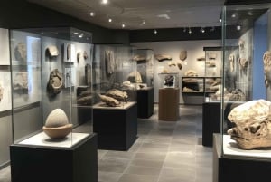 Washington DC Smithsonian Natural History Privat tur