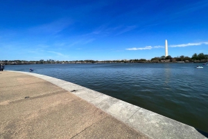 Washington DC: Zonsopgang en zonsondergang