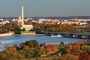 Washington DC: Crucero Fluvial con Cena Gourmet de Acción de Gracias
