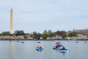Washington DC: Alquiler de barcas a pedales en Tidal Basin