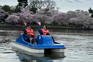 Washington DC: Alquiler de barcas a pedales en Tidal Basin