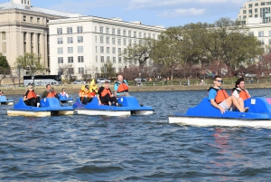 Washington DC: Alquiler de barcas a pedales en Tidal Basin