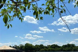 Washington DC: Alquiler de barcas a pedales en Tidal Basin