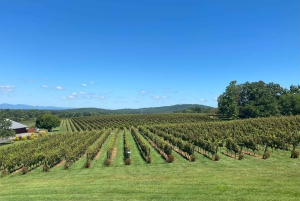Washington, DC: Virginia Wine Region Experience Tour