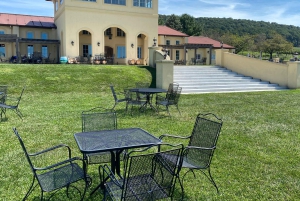 Washington, DC: Virginia Wine Region Experience Tour