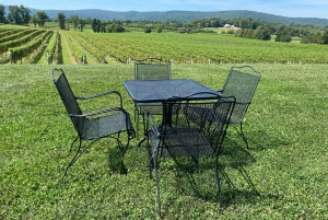 Washington, DC: Virginia Wine Region Experience Tour