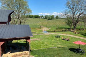 Washington, DC: Virginia Wine Region Experience Tour