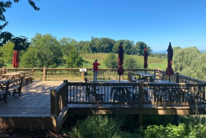 Washington, DC: Virginia Wine Region Experience Tour