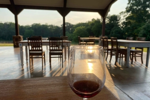 Washington, DC: Virginia Wine Region Experience Tour