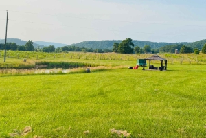 Washington, DC: Virginia Wine Region Experience Tour