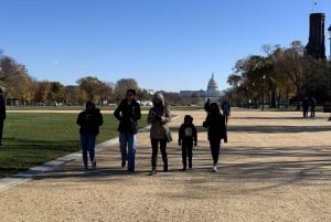 Washington DC: Walking Tour och African American Museum