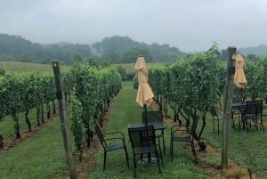 Washington DC: Winery Tour