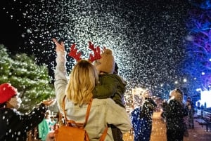Washington, DC: experiência com as luzes da cidade de inverno