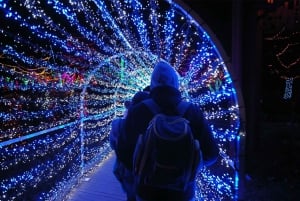 Washington, DC: experiência com as luzes da cidade de inverno