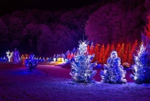 Washington, DC: experiência com as luzes da cidade de inverno