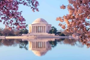 Washington: IAD Private Transfer to Washington Downtown
