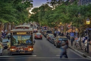 Washington: En privat rundtur Privat tur till Alexandria och Mount Vernon