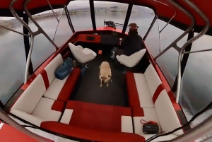 Wenatchee : croisière privée sur le fleuve Columbia