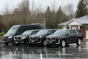 Privat charter-shuttle mellom Whistler og Vancouver