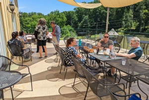Excursion d'une journée complète dans les vignobles au départ de la région métropolitaine de Washington et de Leesburg - 3 vignobles