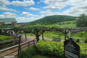 Excursion d'une journée complète dans les vignobles au départ de la région métropolitaine de Washington et de Leesburg - 3 vignobles