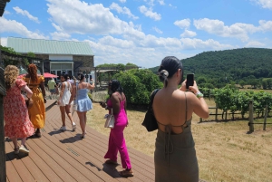 Excursion d'une journée complète dans les vignobles au départ de la région métropolitaine de Washington et de Leesburg - 3 vignobles