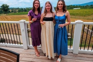 Excursion d'une journée complète dans les vignobles au départ de la région métropolitaine de Washington et de Leesburg - 3 vignobles