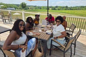 Excursion d'une journée complète dans les vignobles au départ de la région métropolitaine de Washington et de Leesburg - 3 vignobles