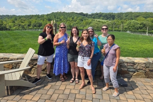 Excursion d'une journée complète dans les vignobles au départ de la région métropolitaine de Washington et de Leesburg - 3 vignobles
