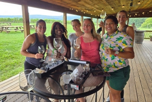 Excursion d'une journée complète dans les vignobles au départ de la région métropolitaine de Washington et de Leesburg - 3 vignobles