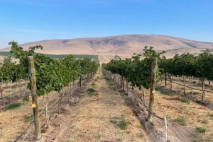 Woodinville Wine Country: Warehouse District Wine Pass