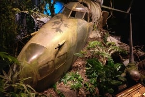 Blenheim: Adgangsbillett til Omaka Aviation Heritage Centre