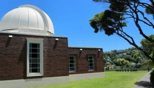 Best Things To Do with Kids in Wellington