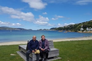 Best Scenic Tours In Wellington