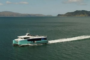 Wellington: Commented Harbor Explorer tour
