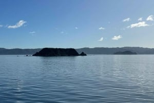 Wellington: Commented Harbor Explorer tour