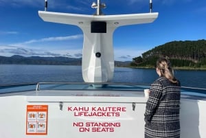 Wellington: Commented Harbor Explorer tour