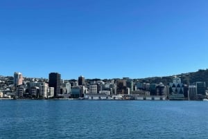 Wellington: Commented Harbor Explorer tour