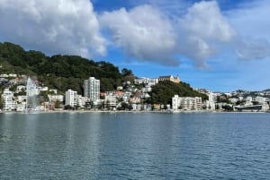 Wellington: Commented Harbor Explorer tour